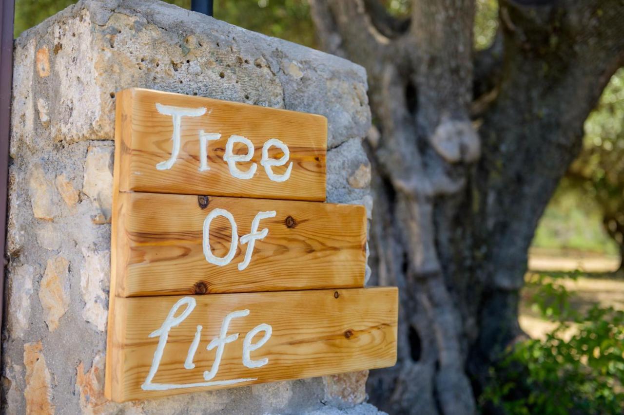 Tree Of Life Villa Valerianos Exterior photo