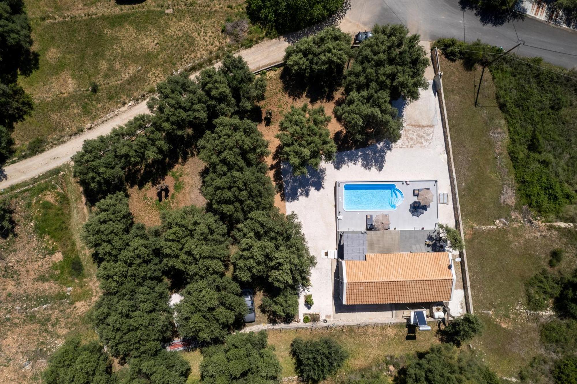 Tree Of Life Villa Valerianos Exterior photo